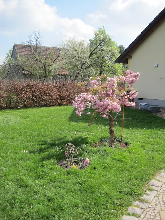 Haus Am Park Lejlighed Thallwitz Værelse billede